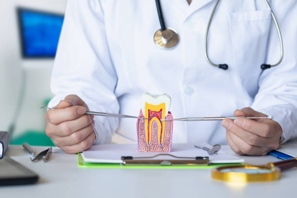 Best Knocked-Out Tooth (Avulsed Tooth) Treatment in Carthage, IL